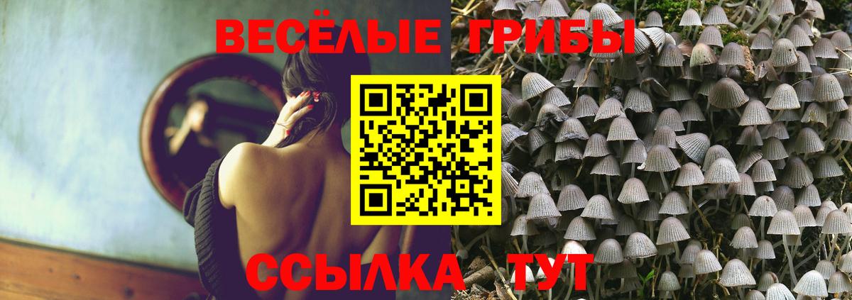 Бутурлиновка  Галлюциногенные грибы MAGIC MUSHROOMS  Вход с VPN 